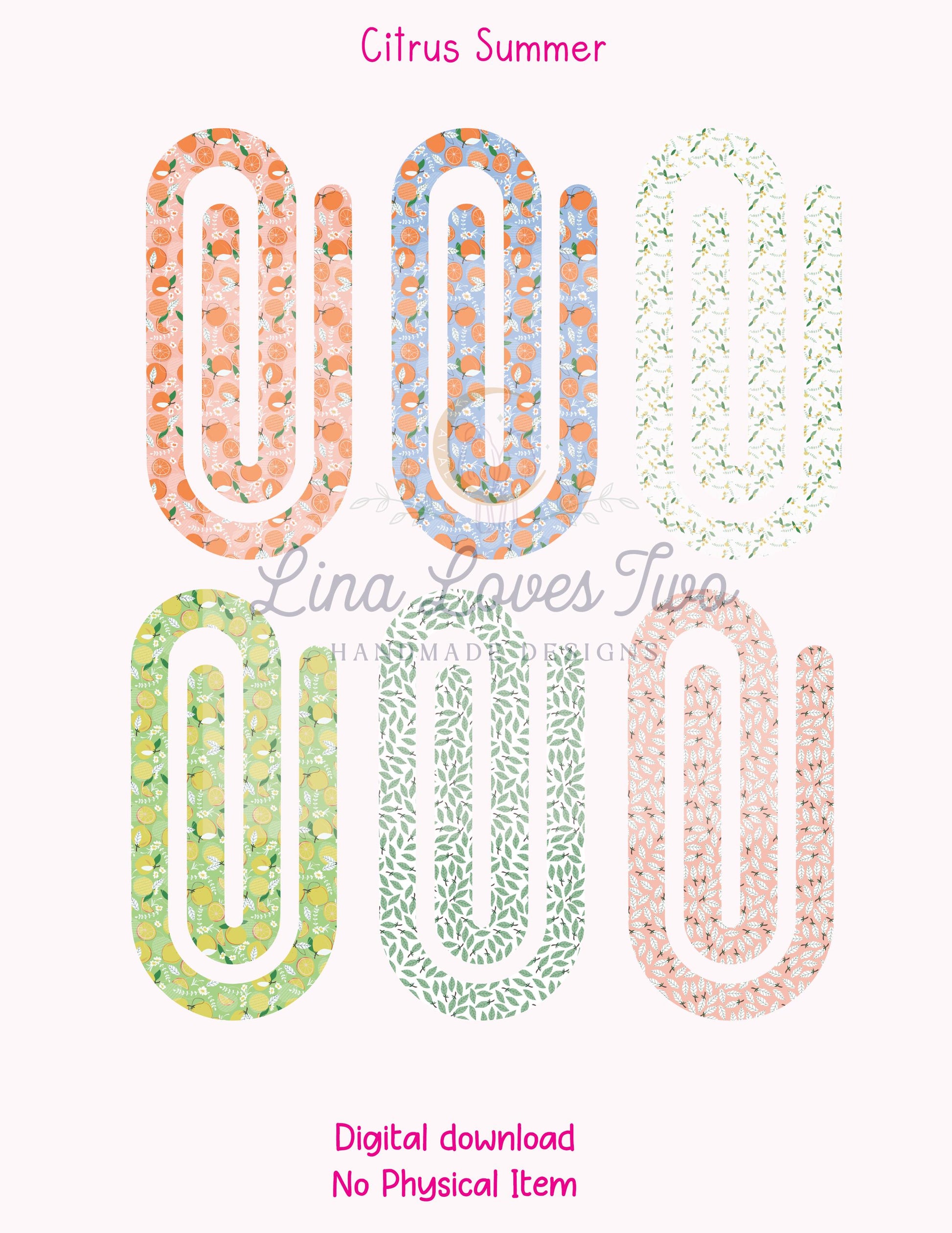 Citrus Paperclip PNG: Summer Fruit Clipart (Digital Download)