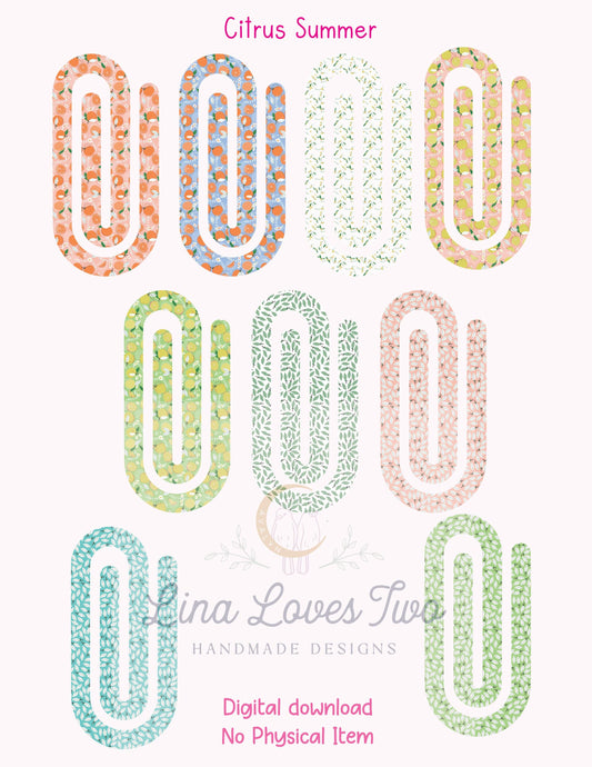 Citrus Paperclip PNG: Summer Fruit Clipart (Digital Download)